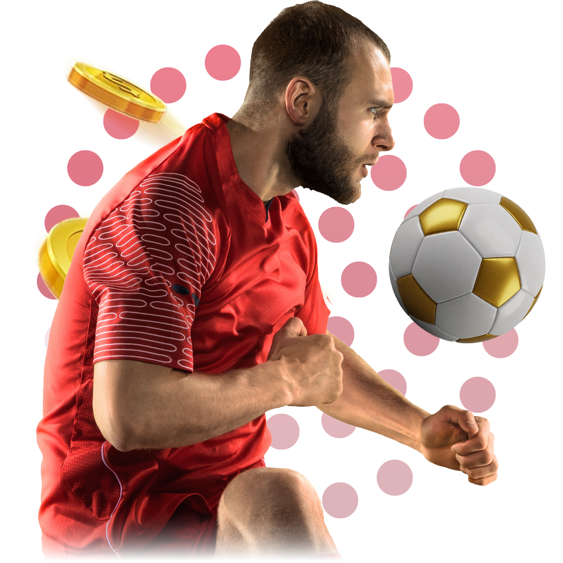 BTi Sports Provedores de Cassino ao Vivo