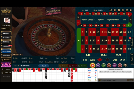 Dream Gaming roulette