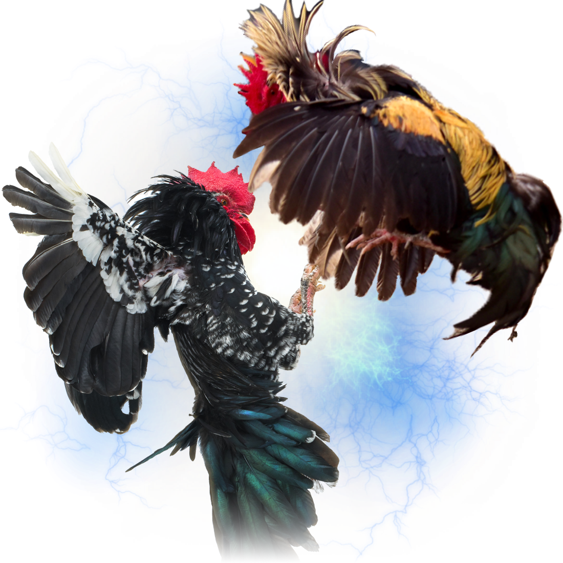 WS168 Live Casino Providers